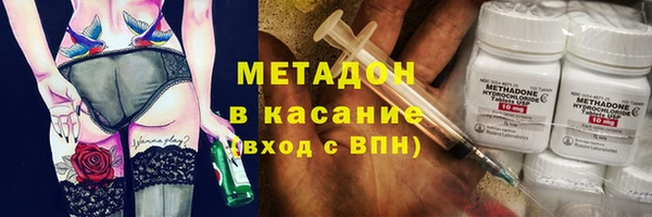 прущие грибы Алексин