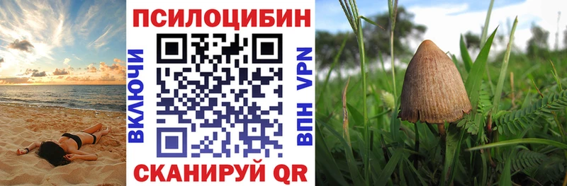 Псилоцибиновые грибы прущие грибы Нижний Ломов